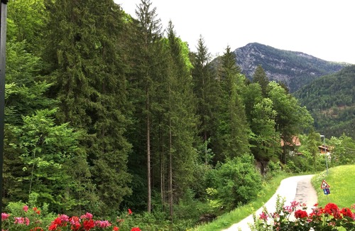 Weissbach an der Alpenstrasse Apartment | Vacation apartment in quiet centr. Location in the Berchtesgadener Land with unobstructed mountain views