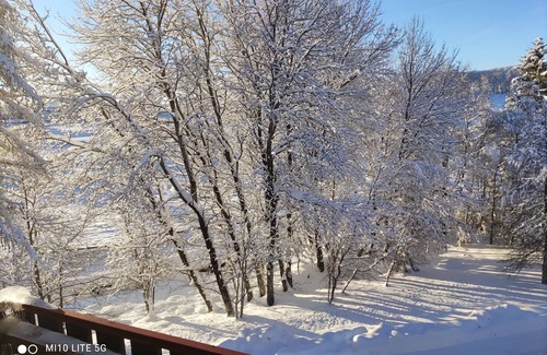 Schluchsee Apartment | Vacation apartment/apartment for 3 guests with 42m² in Schluchsee (149200)