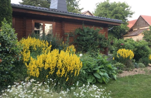 Edertal House | Vacation apartment Anika - Holiday apartments Finnish log cabin