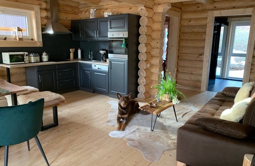 Hahnenklee Apartment | Vacation apartment/apartment for 6 guests with 75m² in Goslar (143504)
