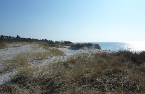 Born auf dem Darss Apartment | Vacation apartment/apartment for 2 guests with 30m² in Prerow (131056)