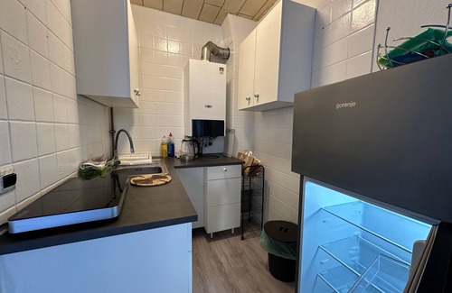 Fuerth Apartment | Vacation apartment/apartment for 4 guests with 40m² in Fürth (250486)