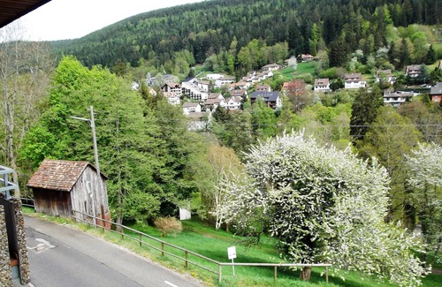 Bad Wildbad Apartment | Vacation apartment Talblick with swimming pool, 75sqm, 1 bedroom, 1 living room, max. 4 persons