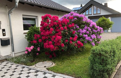 Unterkirnach Apartment | Vacation apartment Schwarzwaldhirsch, 45sqm, 1 bedroom, max. 4 persons