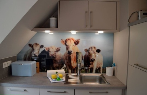 Wyk auf Foehr Apartment | Vacation apartment/apartment for 5 guests with 62m² in Wyk auf Föhr (109447)