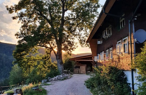 Triberg im Schwarzwald Apartment | Vacation apartment "Inga", 1 living/bedroom, max. 2 persons