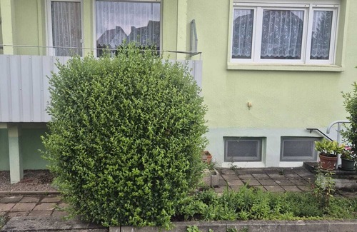Sulzhayn Apartment | Vacation apartment Ulitzka in Ellrich OT Sülzhayn