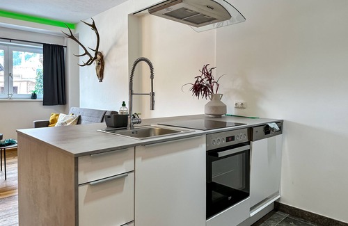 Hollersbach im Pinzgau Apartment | Vacation apartment/apartment for 6 guests with 100m² in Hollersbach im Pinzgau (273143)