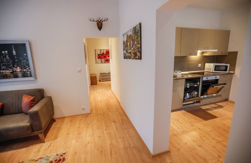 Triberg im Schwarzwald Apartment | Vacation apartment/apartment for 3 guests with 50m² in Triberg in the Black Forest (163847)