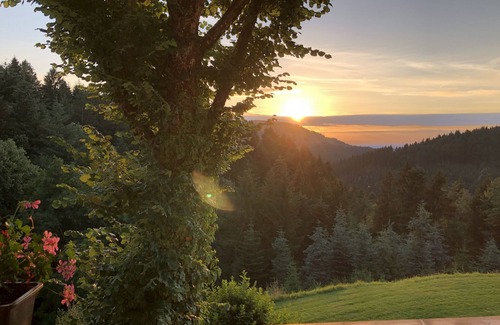 Durbach Apartment | Vacation farm Hölzleberg in Durbach in the Black Forest in the countryside with pool