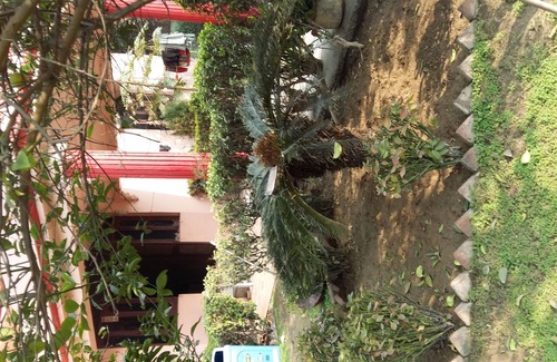 Delhi House | Vacation Farm House Enjoyable palace for Stay .it's soo sweet palce .we l nice