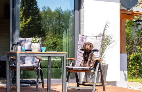 Muritz House | Vacation home Große Sommerliebe with fireplace for 3 people and dog