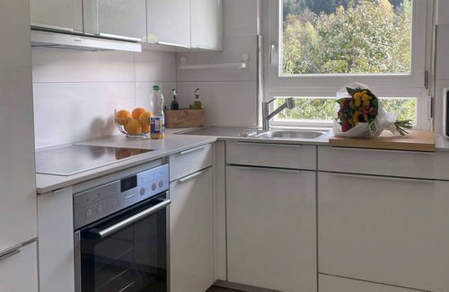 Ehlenbogen House | Vacation home Hirschle -Sauna, dogs, 3 bedrooms, 8 persons