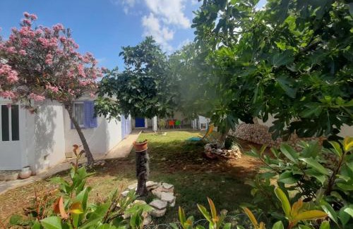 Pomer House | Vacation House Bimba - Pomer