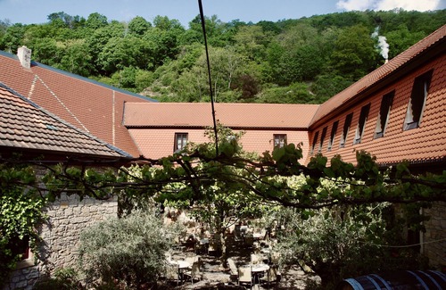 Bad Duerkheim Apartment | Vacation on a historic winery in the spa town of Bad Dürkheim