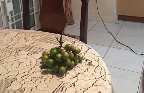 Mango Walk House | VACATION VILLA WITH POOL, GATED COMMUNITY (GREAT RATES)