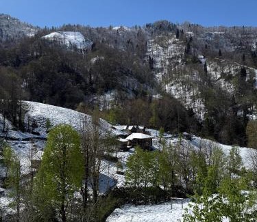 Ayder Resort | VAESS Villa Dağ Evleri
