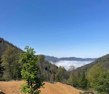 Ayder Resort | VAESS Villa Dağ Evleri