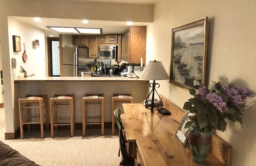 Vail Condo | Vail Village European Charmer-Walk to Gondola, AC, Dog friendly