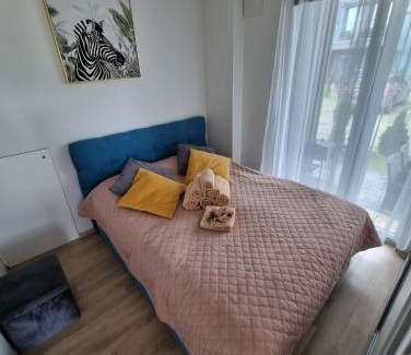 Palanga Apartment | Vaivorykštės 7D apartamentai su baseinu vasaros metu