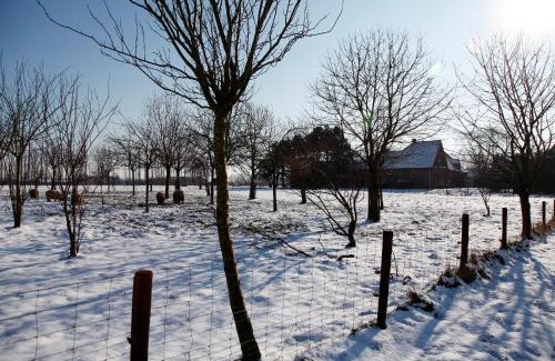 Loenhout Apartment | Vakantie Appartement De Sneppelhoeve