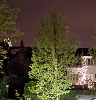 Ronse House | Vakantiewoning Whouse