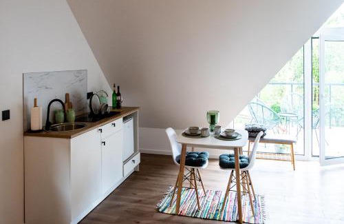 Birstonas Apartment | Vakaras cozy apartment in the guest house with the terrace and the stunning view to the river side