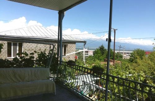 Telavi House | Valiko house in Telavi