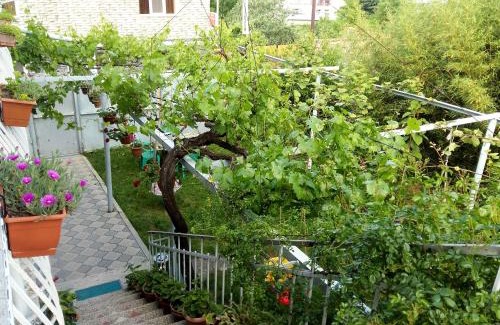 Telavi House | Valiko house in Telavi