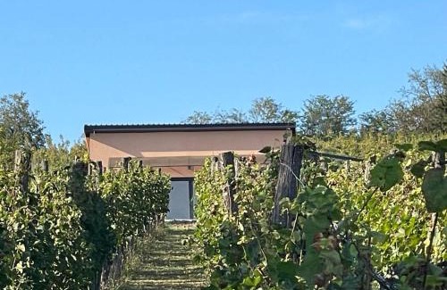 Bodani House | Valley of Bikic