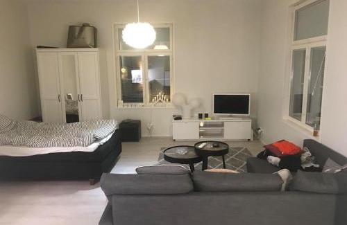 Rauma Apartment | Valoisa avara yksiö loistavalla sijannilla