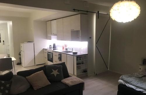 Rauma Apartment | Valoisa avara yksiö loistavalla sijannilla