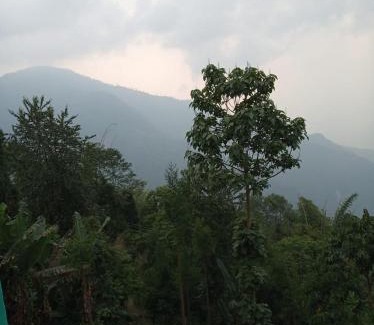 Rishop House | VAMOOSE CHAMLING