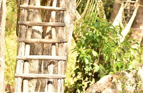 Sakleshpur House | Vamoose Stream Edge Homestay