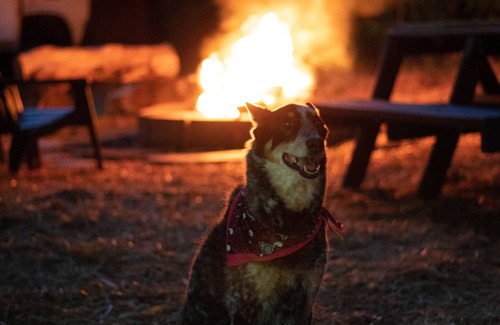 Landrum RV Rental | Van Glamping - AC, Heat and Power!