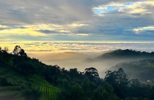 Ooty Bed & Breakfast | Vanam Holidays