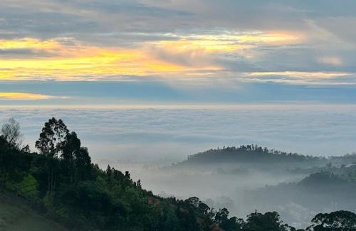 Ooty Bed & Breakfast | Vanam Holidays