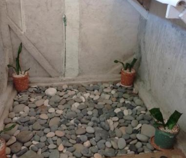 Porus House | Vanista Dica- Dancing Bamboo