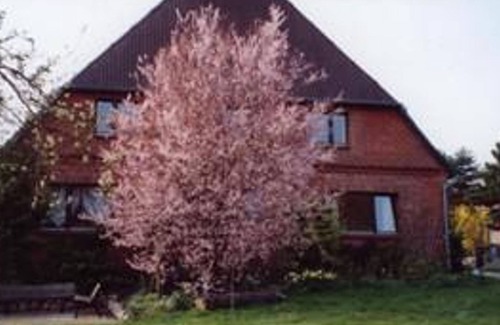 Kittlitz Apartment | Variante 1: Ferienwohnung, 1 Wohn-schlafraum - Hof am See