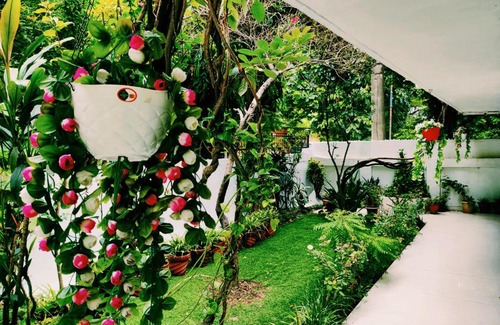 Vasant Vihar House | Vasant Retreat I Homestay