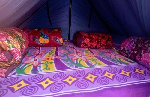 Kedarnath Other | VASHU CAMPSITE KEDARNATh