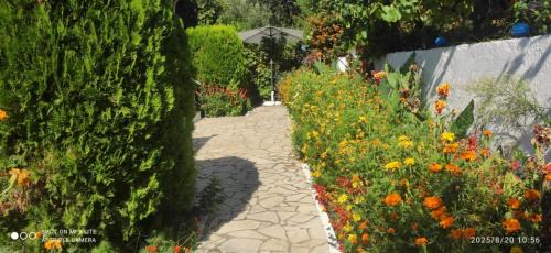 Lukove House | Vasil Rooms Lukove