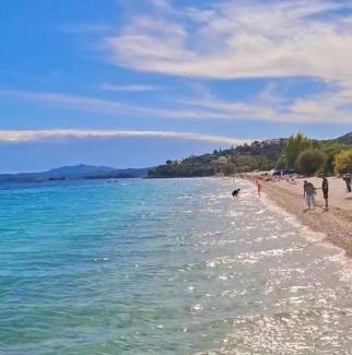Barbati Apartment | Vasiliki see view apartments