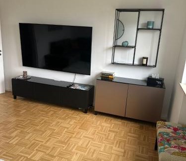 Illkirch-Graffenstaden Apartment | Vaste appartement avec parking gratuit, borne dispo et espace de travail