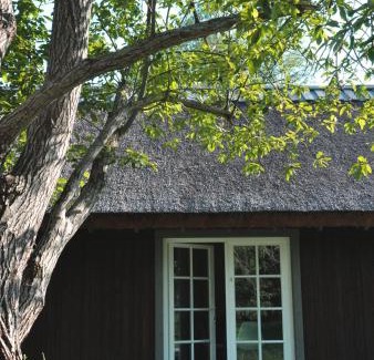 Kurzeme Apartment | Vecmartini
