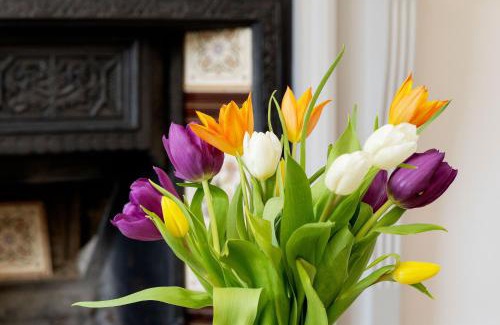 Hammersmith Broadway Apartment | Veeve - In the Clouds