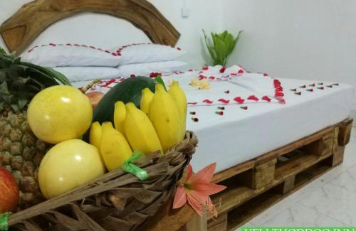 Thoddoo House | Veli villa