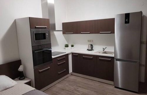 Velke Losiny Apartment | Velký apartmán Sophia (s infrasaunou) č. 1