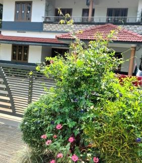 Mananthavady Villa | VELLAKUZHY Homestay Wayanad