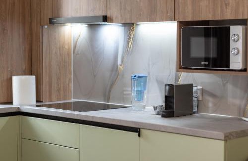 Baia Mare Apartment | Velunia Residence